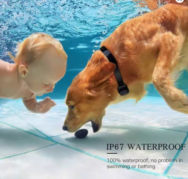Collare Addestramento Cani Impermeabile IP67 | Ricaricabile con Telecomando LCD fino a 800 m | 3 Modalità: Suono, Vibrazione, Luce